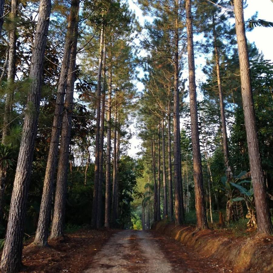 Hotel Rural Sitio Do Sol Guabiruba Экстерьер фото
